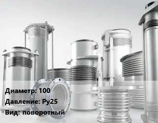 Компенсатор 100 Ру25 поворотный